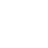 Vehicle icon